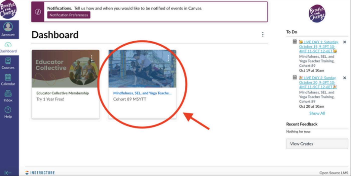 Canvas Curriculum Access & Navigation Guide