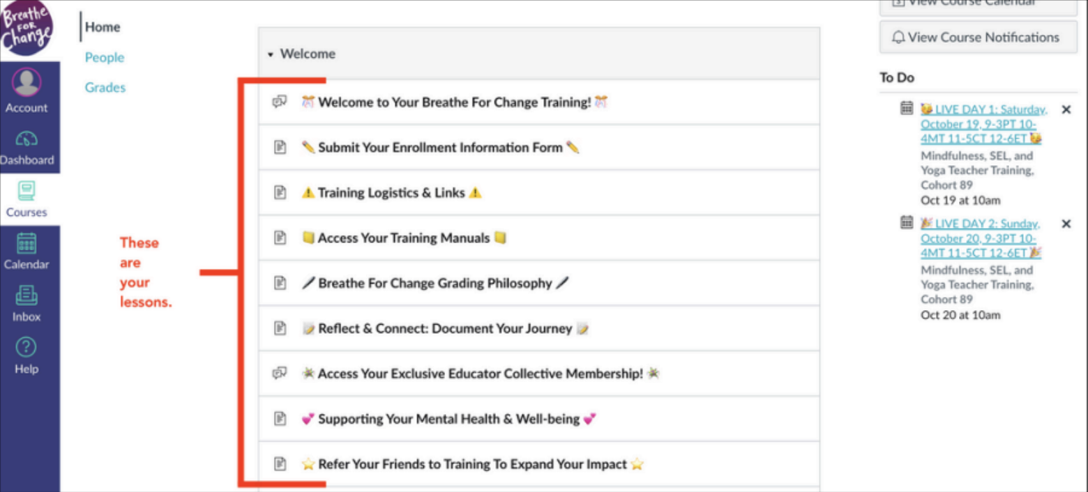 Canvas Curriculum Access & Navigation Guide
