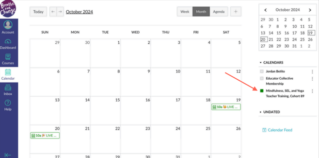 Screenshot 2025-12-02 at 3.19.49 PM-1